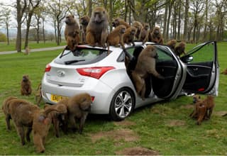 G_noticia_13990.jpg