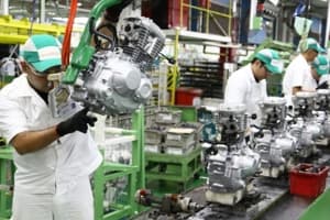 X_noticia_24288.jpg