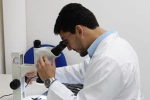 G_noticia_24434.jpg