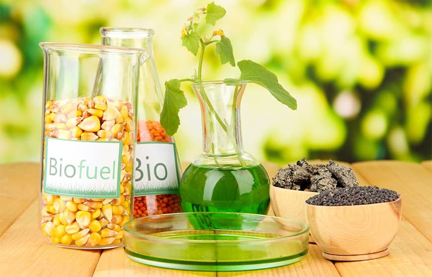 Biodiesel