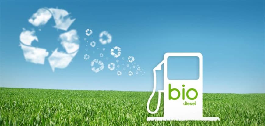 Biodiesel