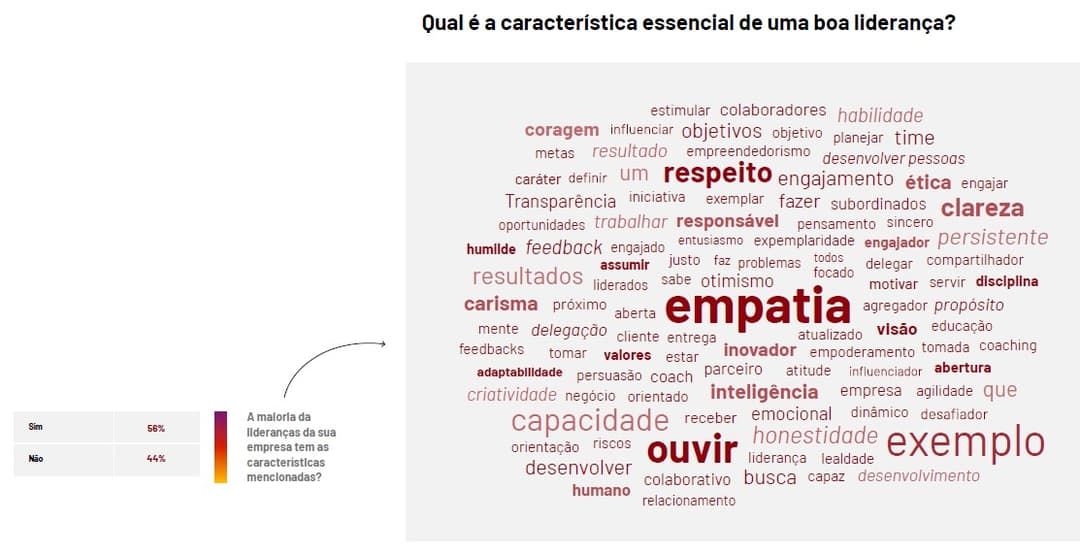 lideranca-automotiva