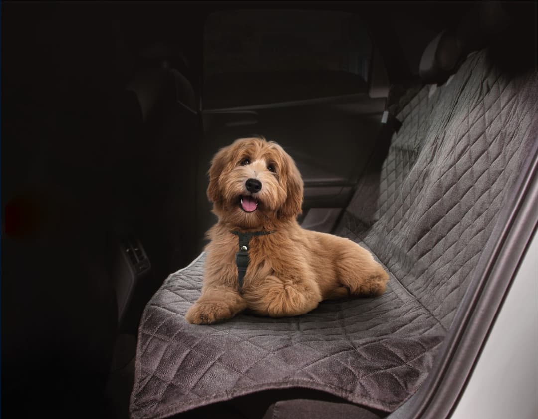 Hyundai Mobis acessórios pets
