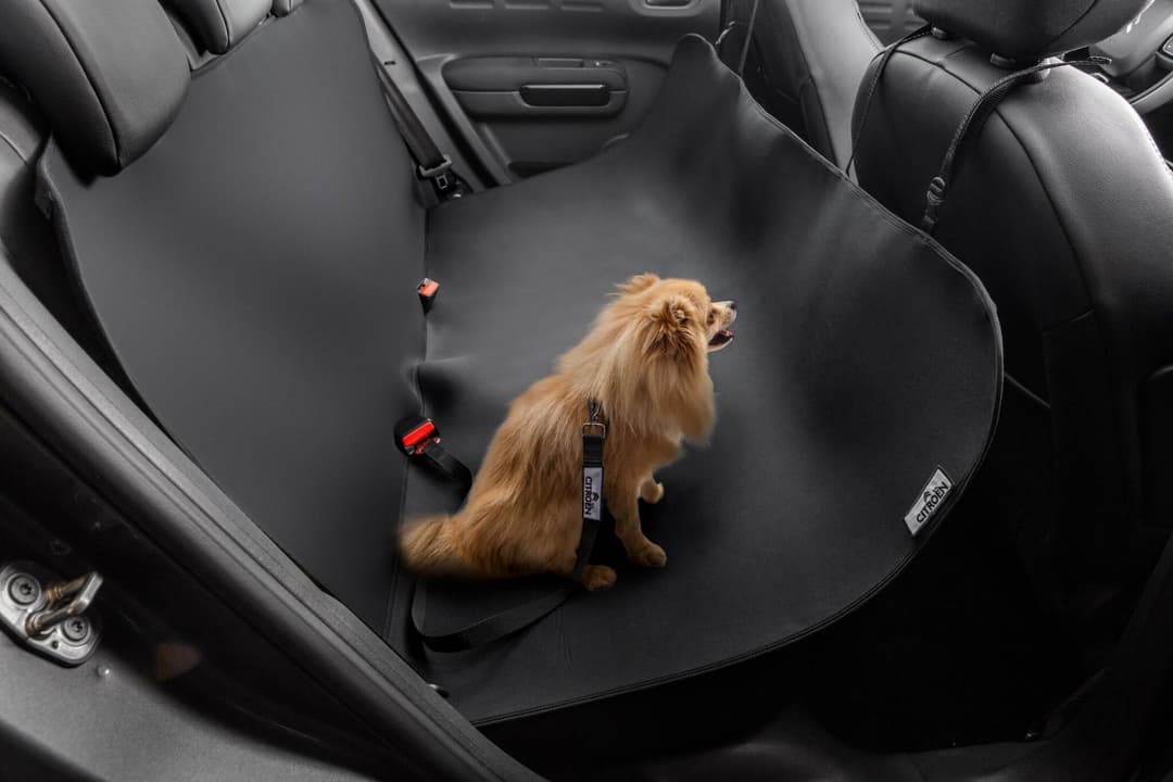 Acessórios para pets da Citroën