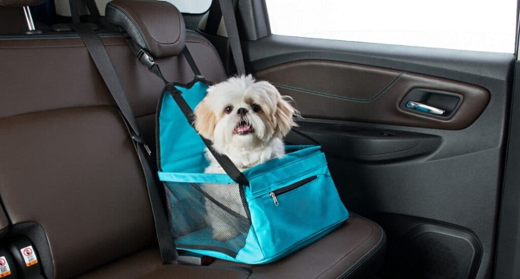Acessorios-pets da Chevrolet