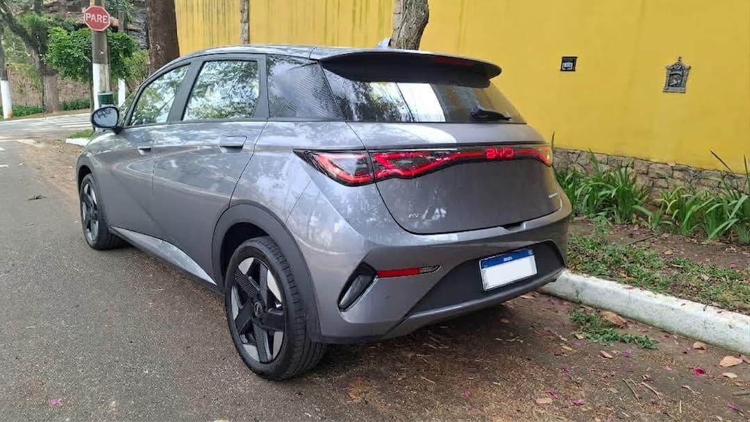 Dolphin SE